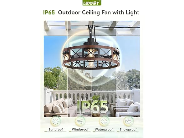 LEDIARY Walnut 22" Outdoor Ceiling Fan with Lights