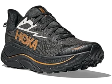 $129.99, Was $155, 16% Off! Hoka Challenger 8 Men's Shoes dealfomo
