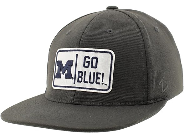 ZHATS NCAA Fitted Hat M15Z Defer