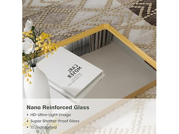 Anpark Full Length Gold Rectangle Mirror