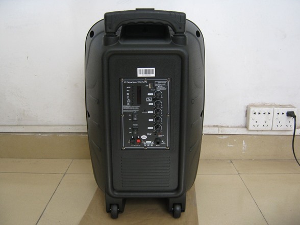 Rechargeable 12" Bluetooth Speaker