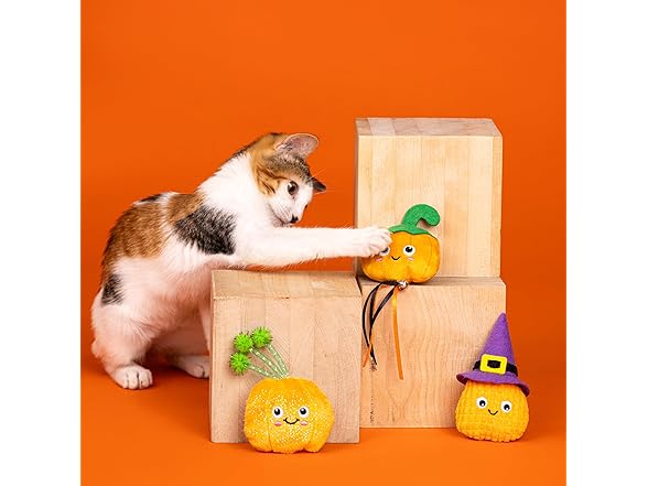 Fringe Studio Pet Toy, Witch of The Patch 3 PCS