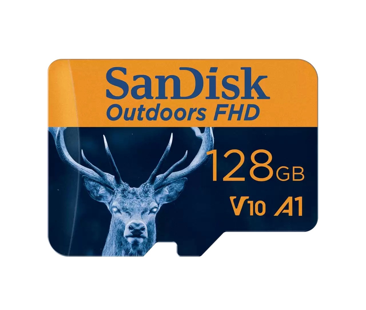 SanDisk Outdoors FHD 128GB microSD w/ Adapter - Gallery 4