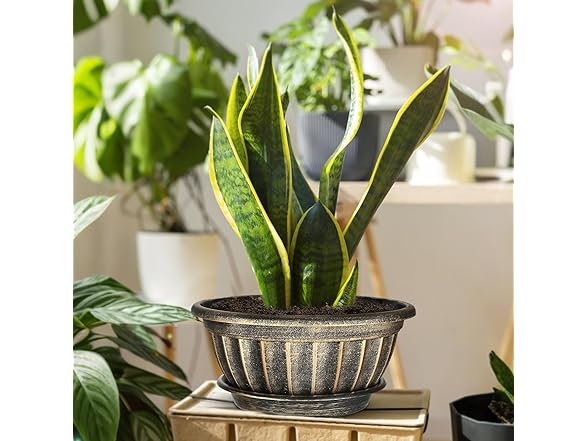 NIKONIKO 6 Pack 12 inch Flower pots