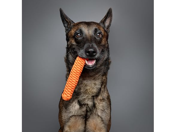 NOAH & PAW Luxury Dog Toy, Carrot