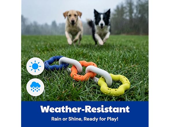 American Kennel Club AKC Sport Chain Dog Chew Toy