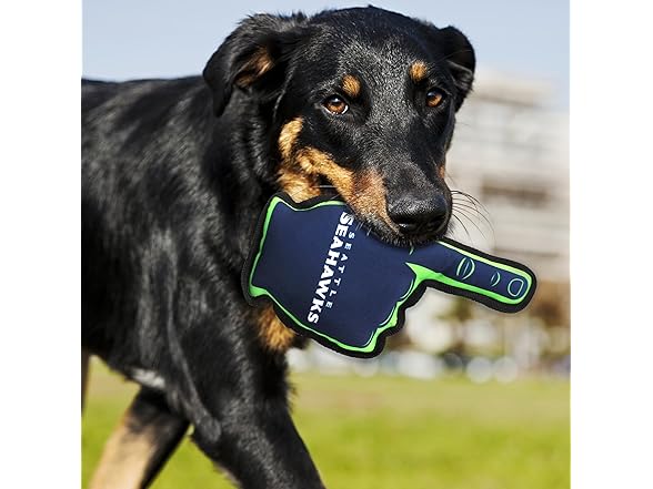 NFL #1 FAN TOY for DOGS & CATS
