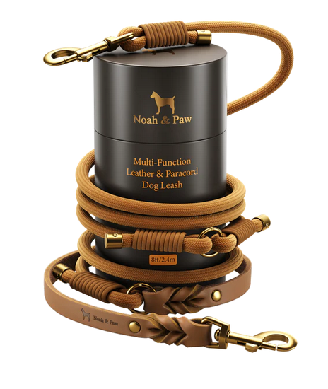 NOAH & PAW Leather Paracord Dog Leash - Gallery 14