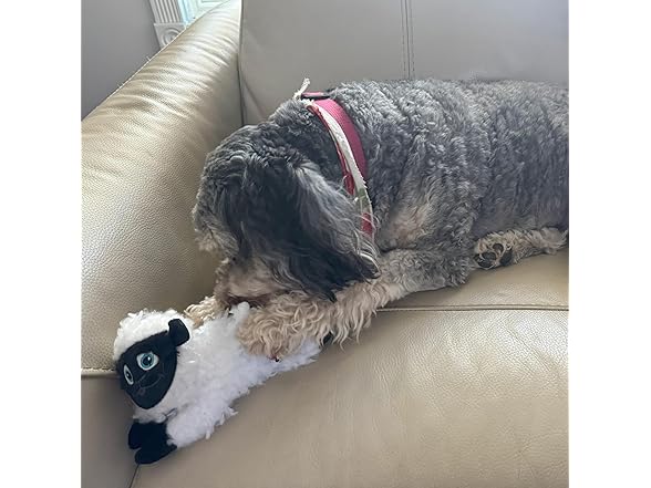 SPOT Baa Baa Black Sheep Plush Dog Toy