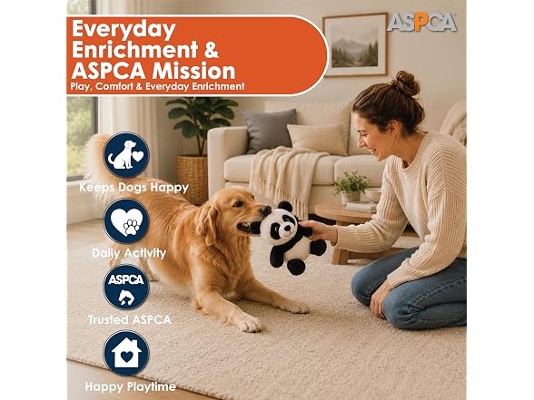 ASPCA ASPCA Plush Squeaky Dog Toy for Small