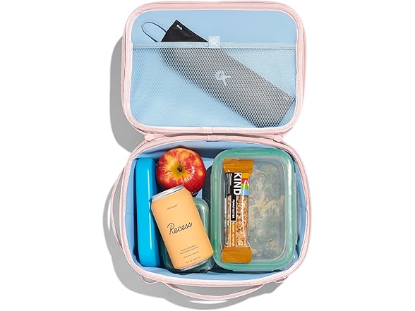 Hydro Flask Carry Out Lunch Box