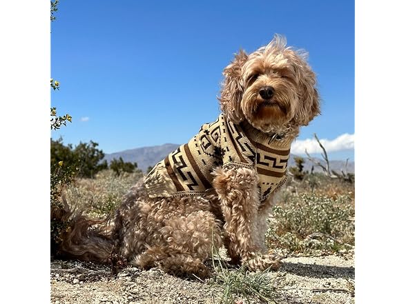 PENDLETON Westerley Knitted Dog Sweater Small