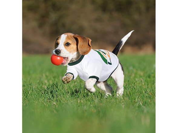 2 Pcs St. Patrick's Day Pet Shirts Dog Cloth