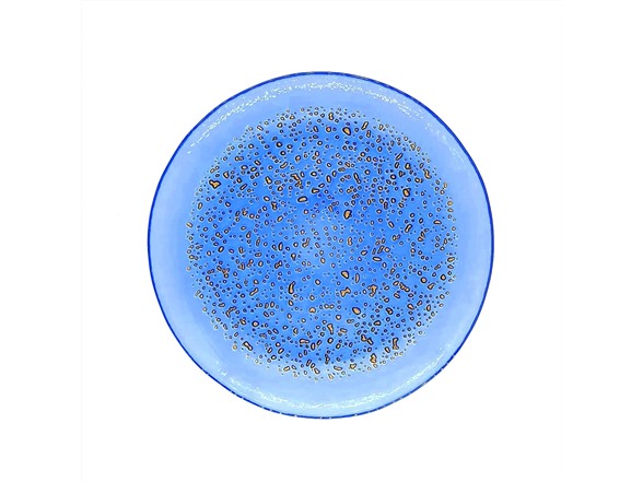 Red Pomegranate ISLA 8.5" Salad Plate