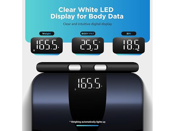 Smart Body Fat Scale BMI 8 Electrode