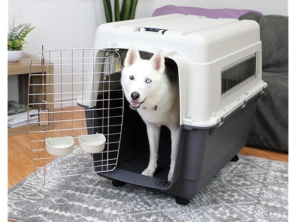 SportPet Designs Plastic Kennels