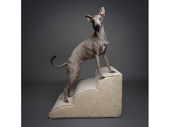 Noah & Paw Rounded Dog Stairs