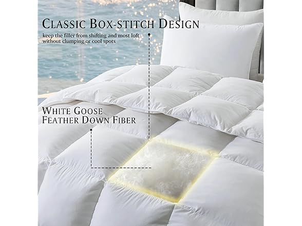 Beautyrest Luxury 100% Cotton Comforter