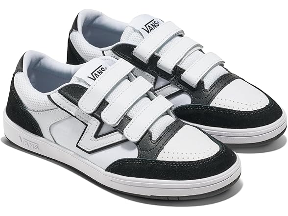 Vans Unisex Lowland CC V Shoe