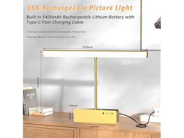 Lightbiz Picture Light for Wall