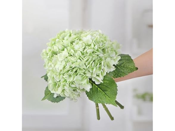 Lightgreen