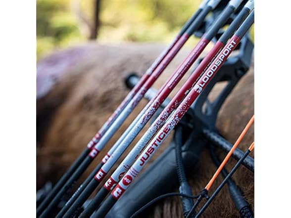 BLOODSPORT Hunting Arrow 6 Pack 400 Spine