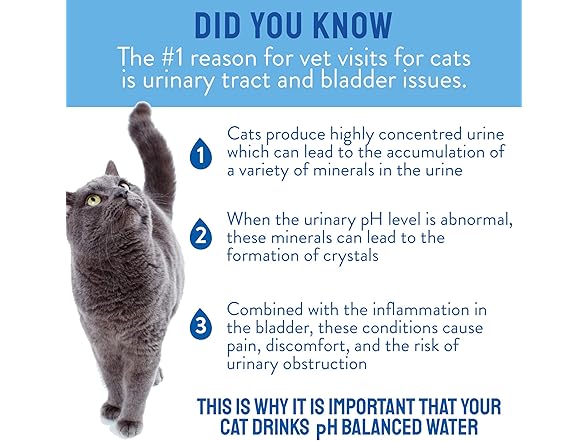 2PK CATWATER CATWATER by VETWATER | ph-Balanced