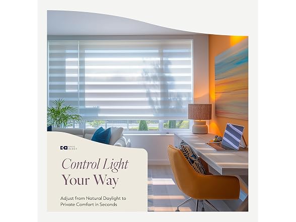 CHICOLOGY Zebra Blinds Cordless Window Shades 58"W x 72"H