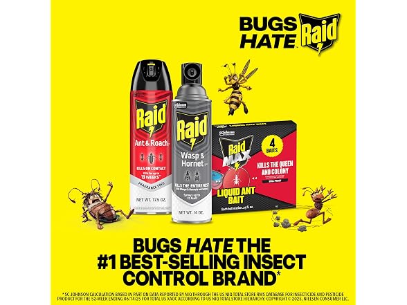 Raid GAR-95 Ant & Roach Killer, 2 Count