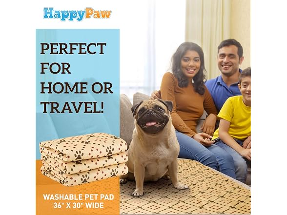 Pet Playpen,Puppy Playpen Transparent Small A