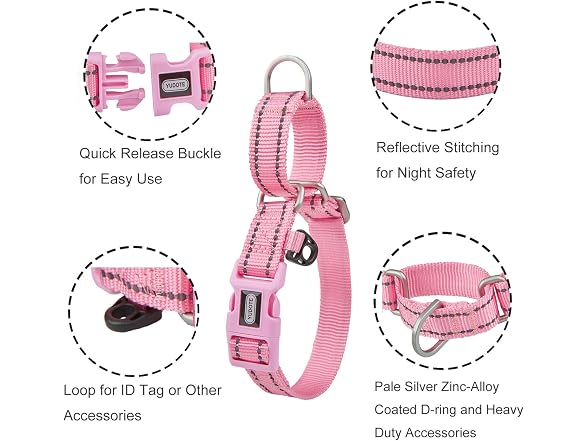 Reflective Martingale Collar for Dogs with Q