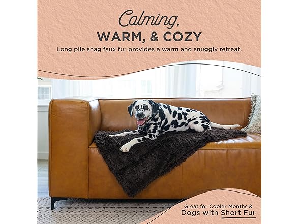 Best Friends by Sheri Calming Shag Blanket