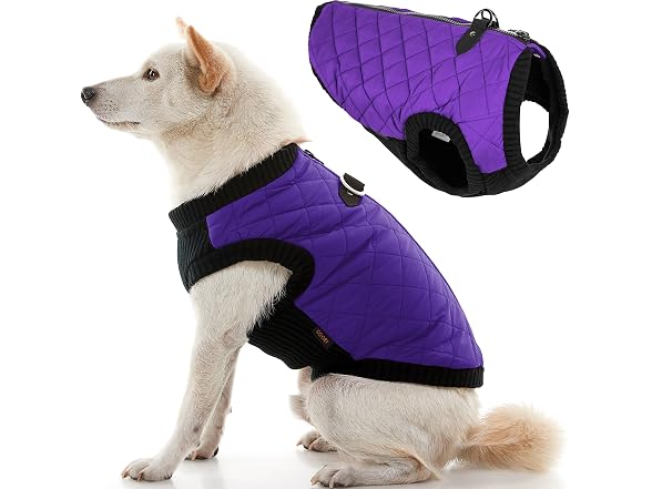 Gooby Fashion Vest Dog Jacket, Violet, Small