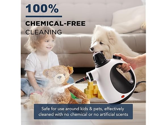 Handheld Steam Cleaner w/ 10 Accessories