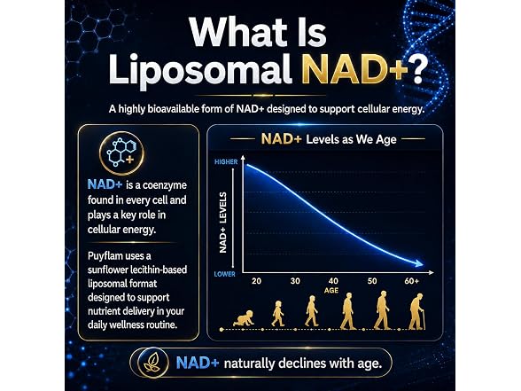 LAORICI NAD Supplement