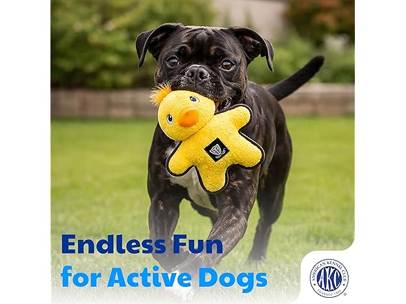 American Kennel Club Plush Dog Toy with Squeaker- Duck