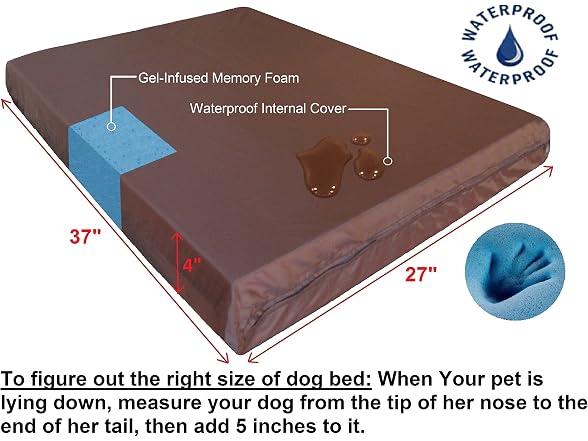 Dogbed4less Orthopedic Dog Bed Memory Foam 37x27"