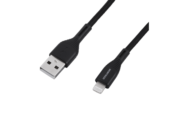 10FT Lightning Cable