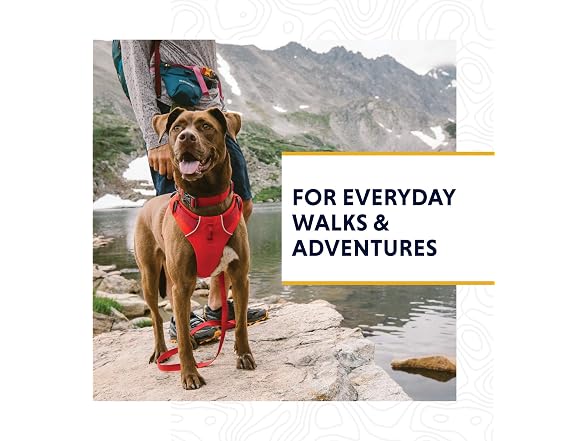 Ruffwear, Front Range Dog Collar