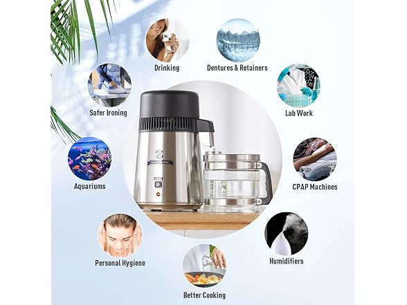 4L Brushed Stainless Steel 750W