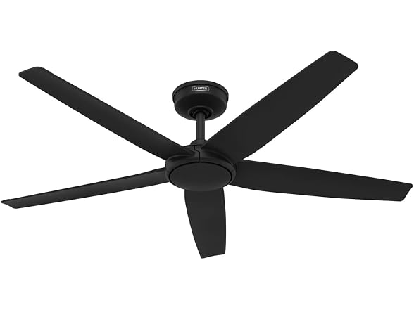 Hunter Fan 52 inch Ceiling Fan with Light, Matte Blk