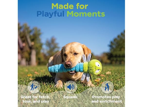 Bow Wow Pet Squeaky Plush Dog Toy with Crinkle Dragonfly