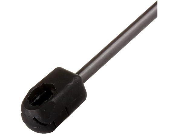 Rear Liftgate Struts Ford Escape