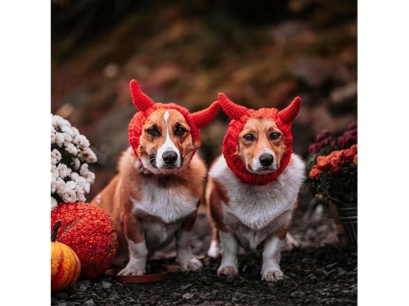 Zoo Snoods Red Devil Dog Costume