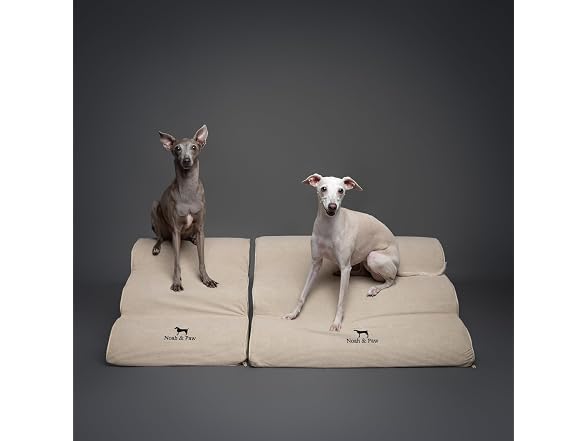 NOAH & PAW Steps 27" Width