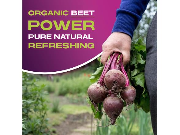 12PK BEET IT Organic Beet Juice, 8.5 Ounce