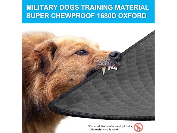 Aulase Chew Proof Dog Crate Bed Pad