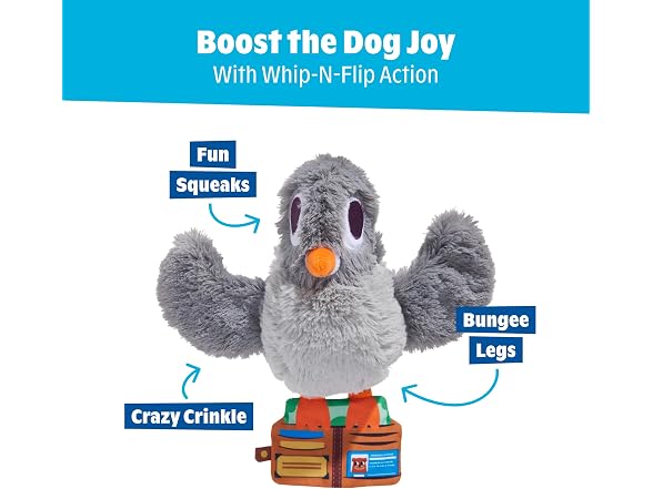Barkbox Pidge Pocket Dog Toy | Plush