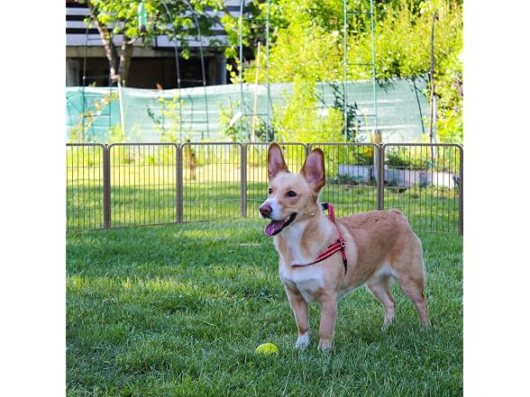FXW Aster Dog Playpen Designed for Yard, 32" H, 8 Panels