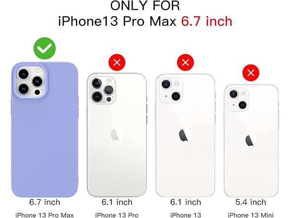 iPhone 13 Pro Max Case